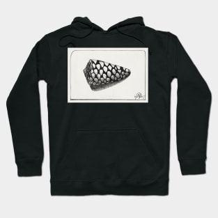 Right side of shell Etching (Schelp, naar rechts)by Samuel Jessurun de Mesquita Hoodie